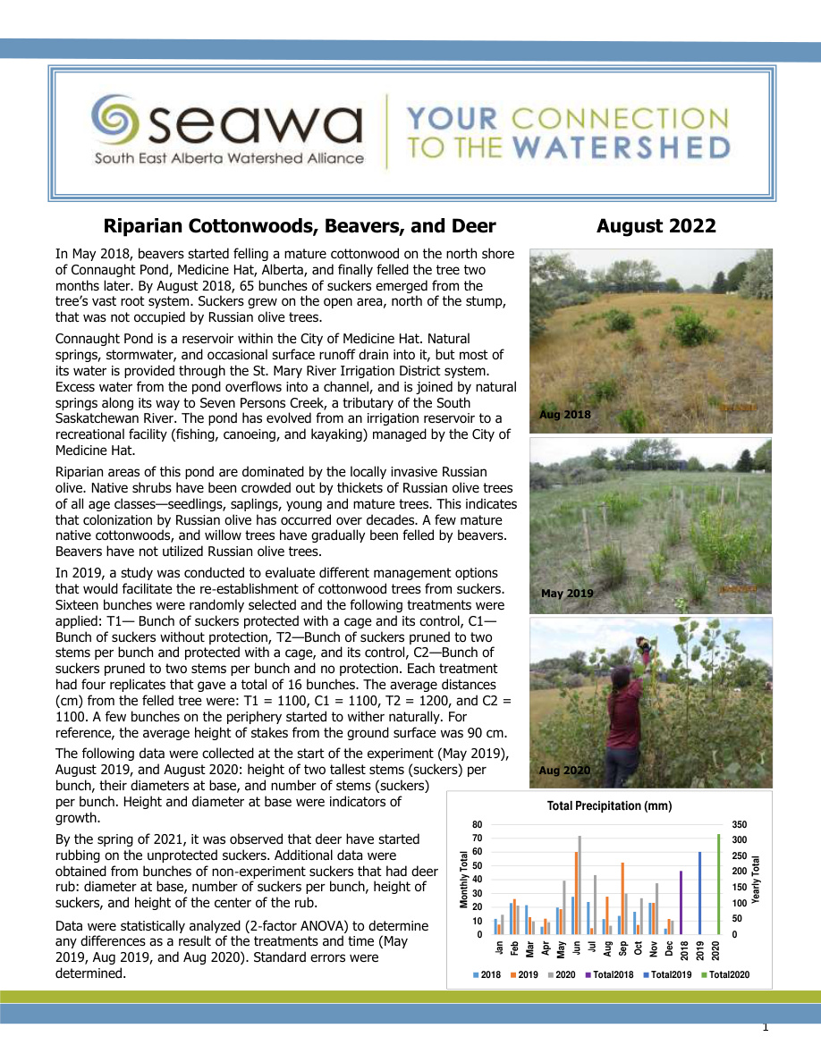 Riparian Cottonwoods Aug 2022