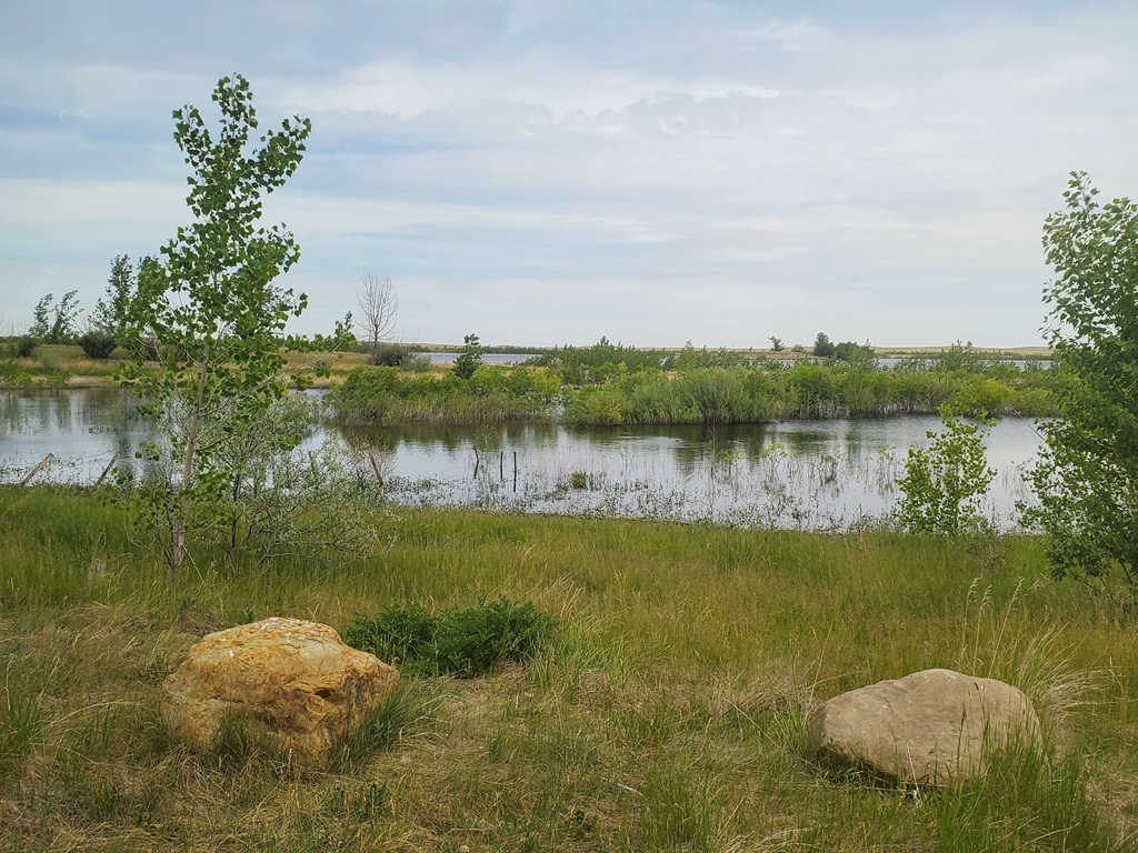 Cinematic watershed landscape