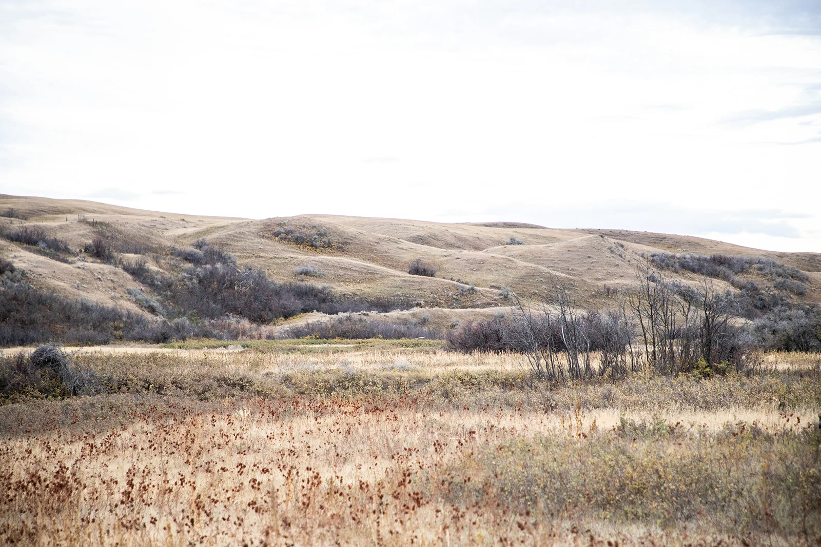 Aerial view of river channels across prairie watershed