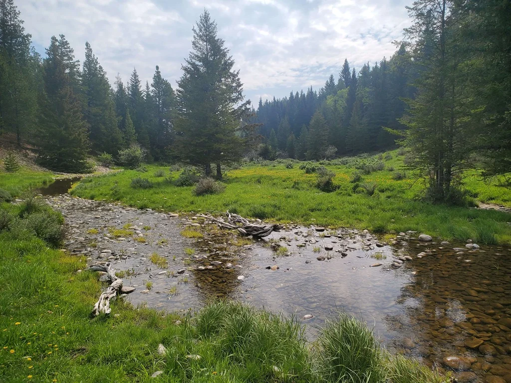 Prairie grasslands and working ranchlands