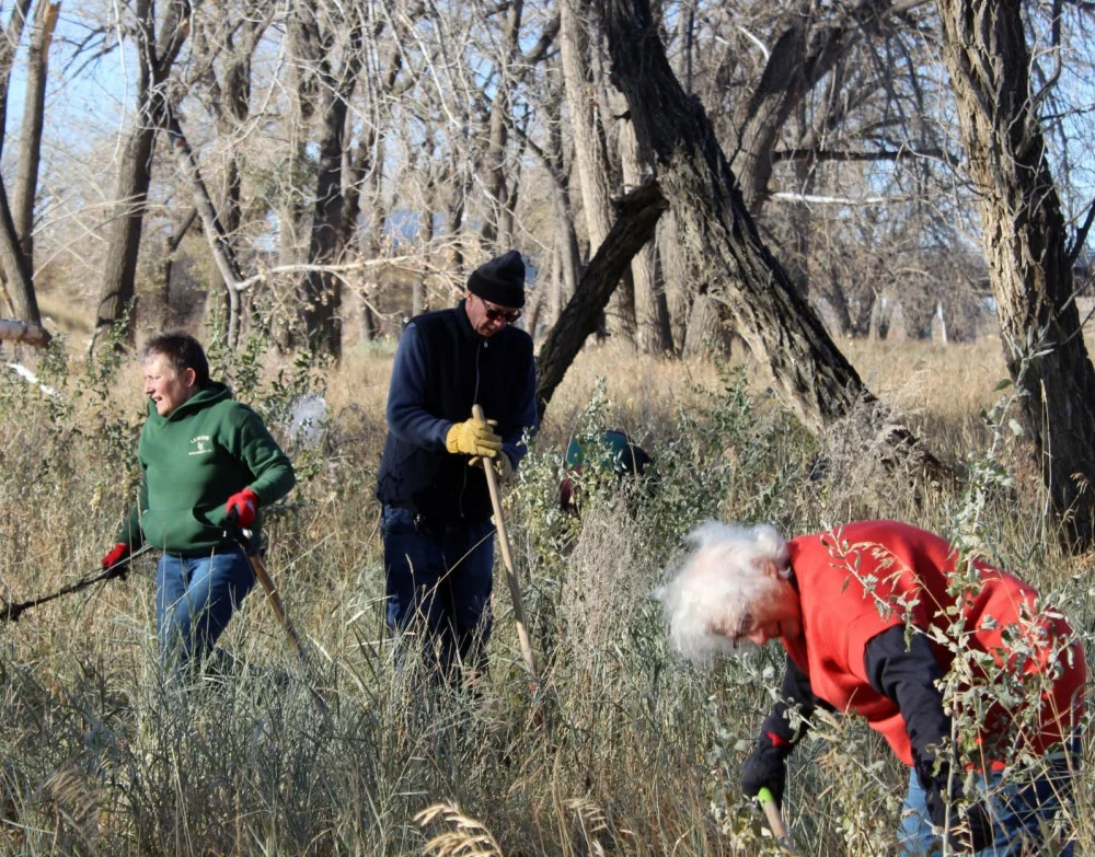 Volunteers planting and caring for riparian areas
